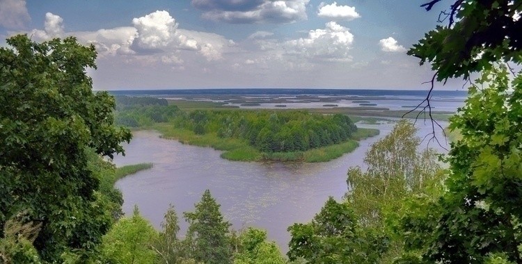 Белая гора